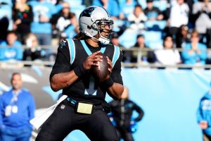Atlanta Falcons v Carolina Panthers